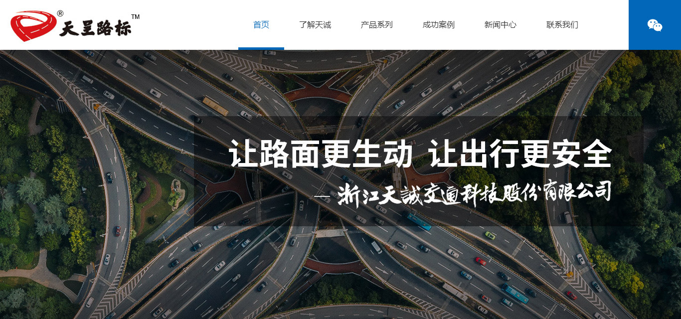 浙江天诚公司网站，公司网站设计，湖州网站建设